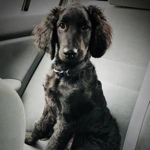 Meet your Posher, Erica